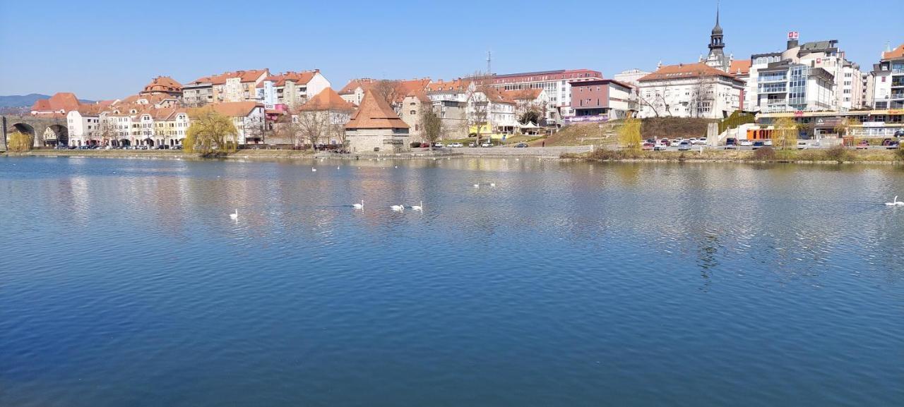 La Studio Maribor Eksteriør billede
